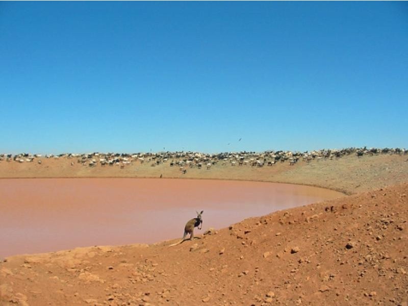 Mount Magnet WA 6638