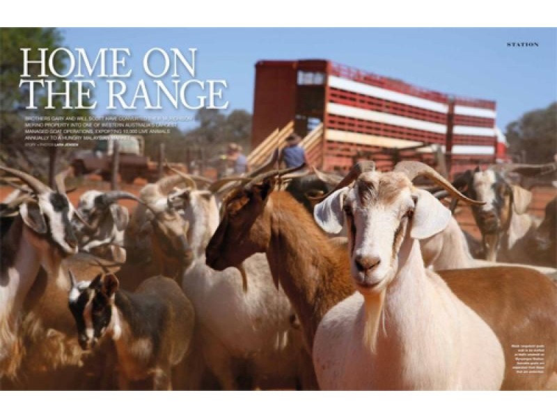 Mount Magnet WA 6638