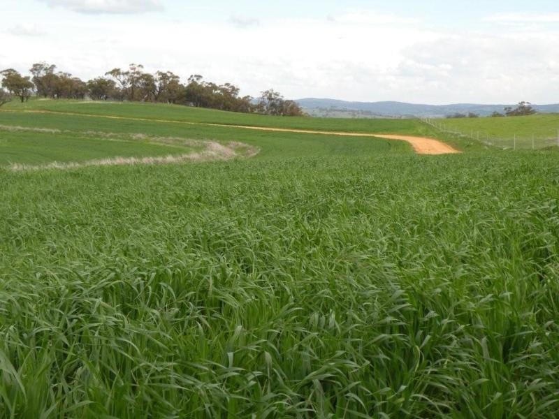Lot 65 Goomalling Toodyay Road, Toodyay WA 6566