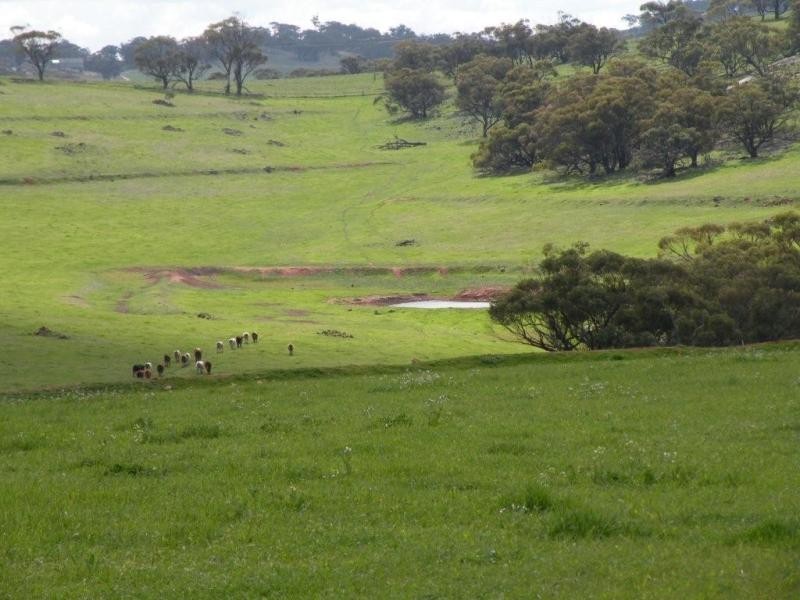 Lot 65 Goomalling Toodyay Road, Toodyay WA 6566