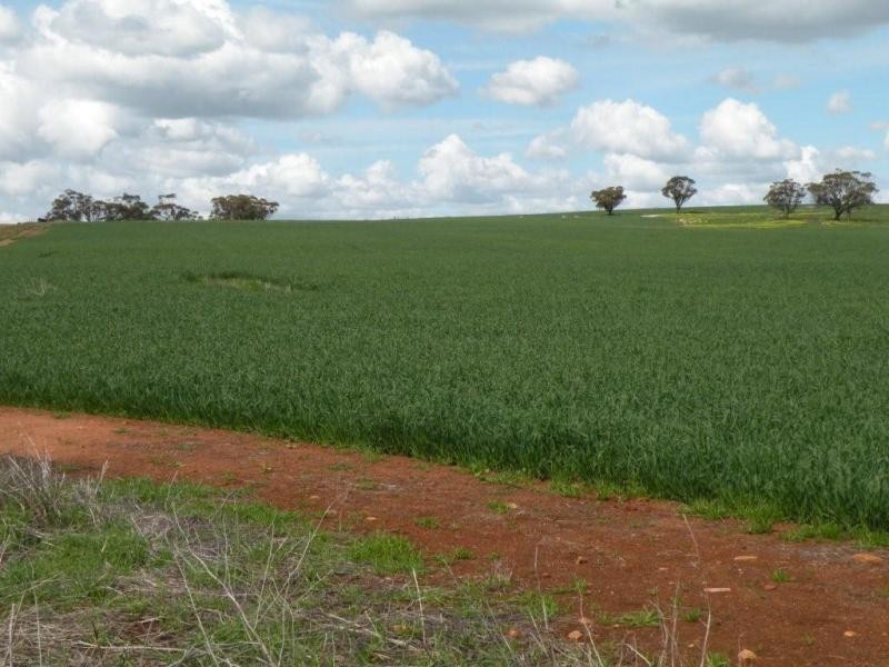 Lot 65 Goomalling Toodyay Road, Toodyay WA 6566