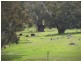 Lot 65 Goomalling Toodyay Road, Toodyay WA 6566