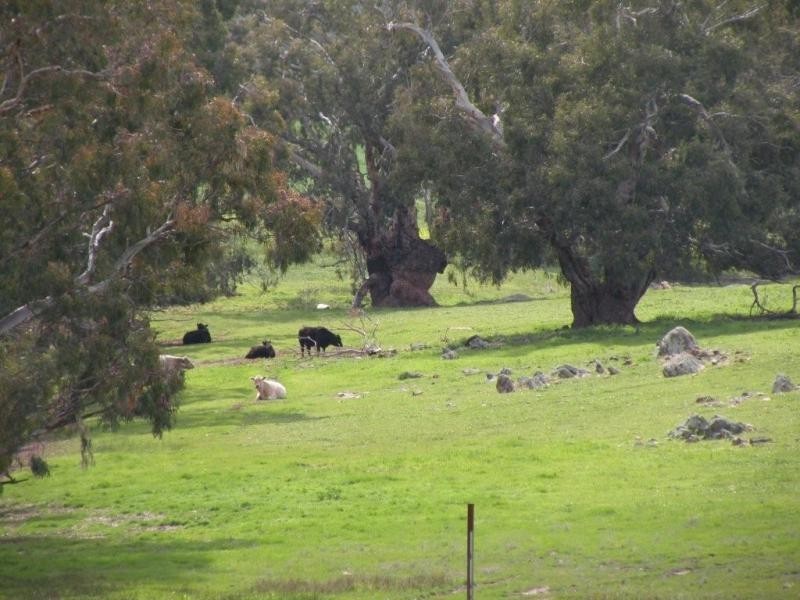 Lot 65 Goomalling Toodyay Road, Toodyay WA 6566
