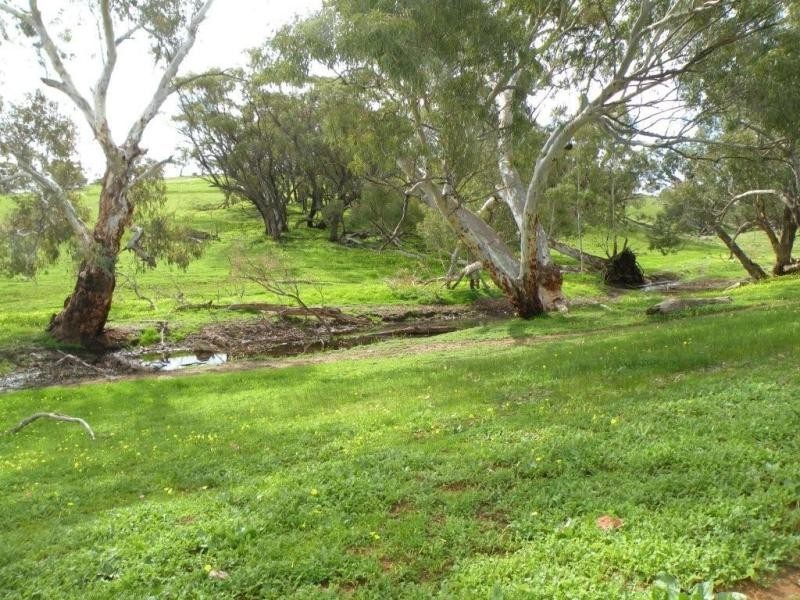 Lot 65 Goomalling Toodyay Road, Toodyay WA 6566
