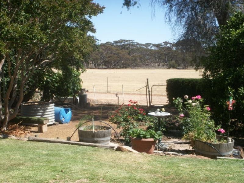 7 Clarke Avenue, Lake Grace WA 6353