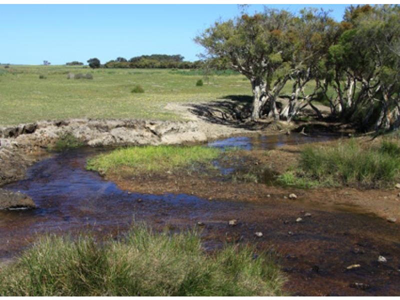 Badgingarra WA 6521