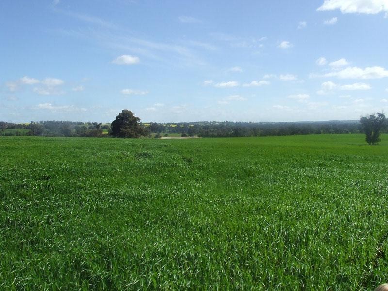 Arthur River WA 6315 the real estate agency Withdrawn