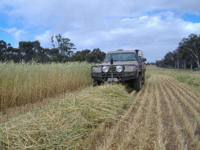 Arthur River WA 6315 the real estate agency Withdrawn