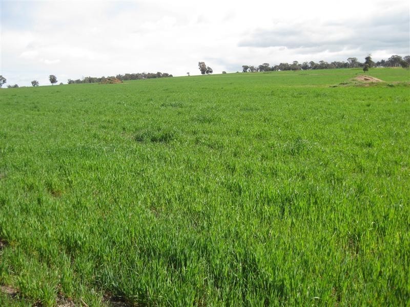 Arthur River WA 6315 the real estate agency Withdrawn