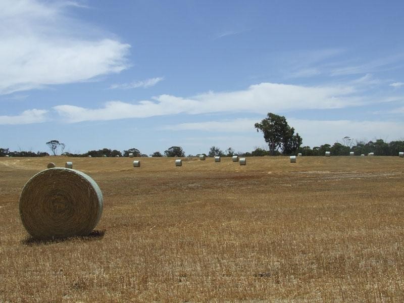 Arthur River WA 6315 the real estate agency Withdrawn