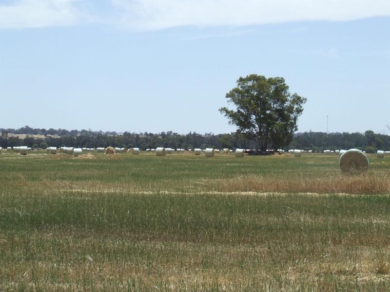 Arthur River WA 6315 the real estate agency Withdrawn