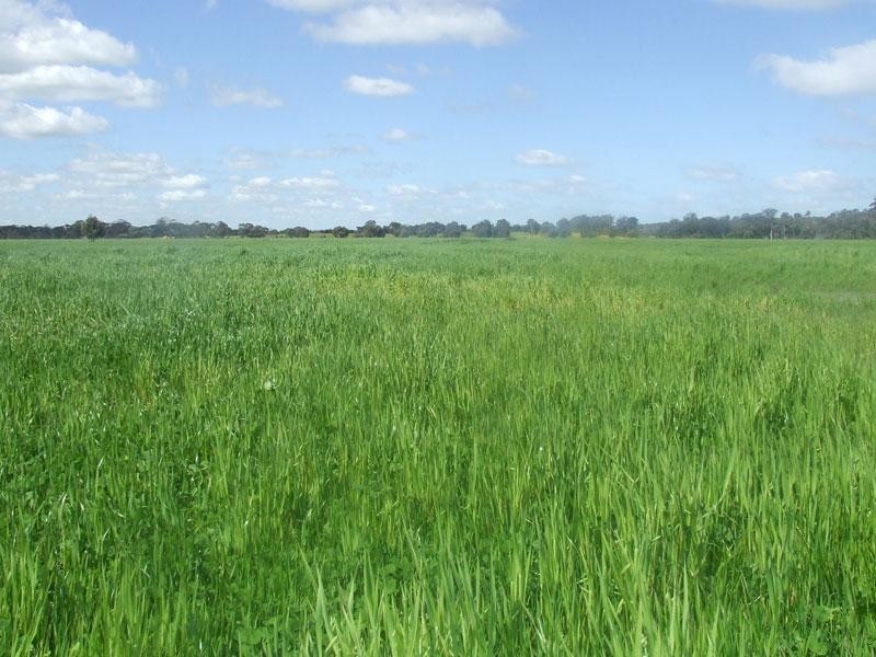 Arthur River WA 6315 the real estate agency Withdrawn