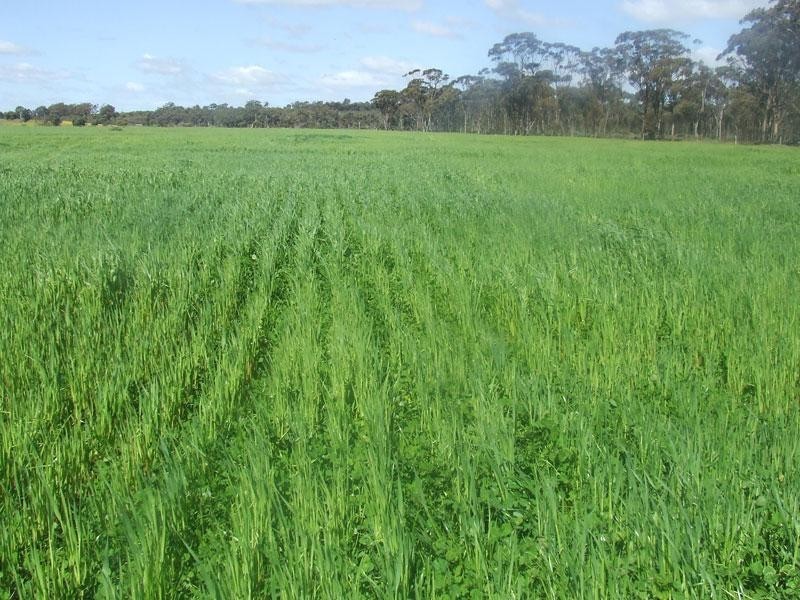 Arthur River WA 6315 the real estate agency Withdrawn