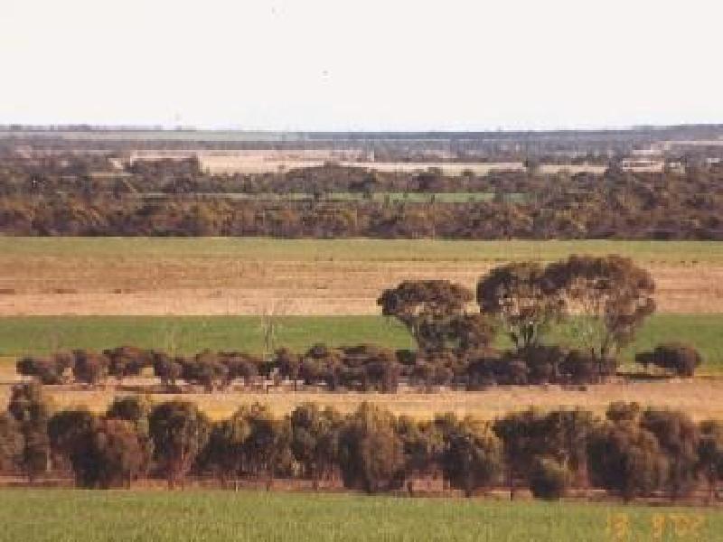 Pingrup WA 6343