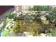1453 Forester Road, Scottsdale TAS 7260