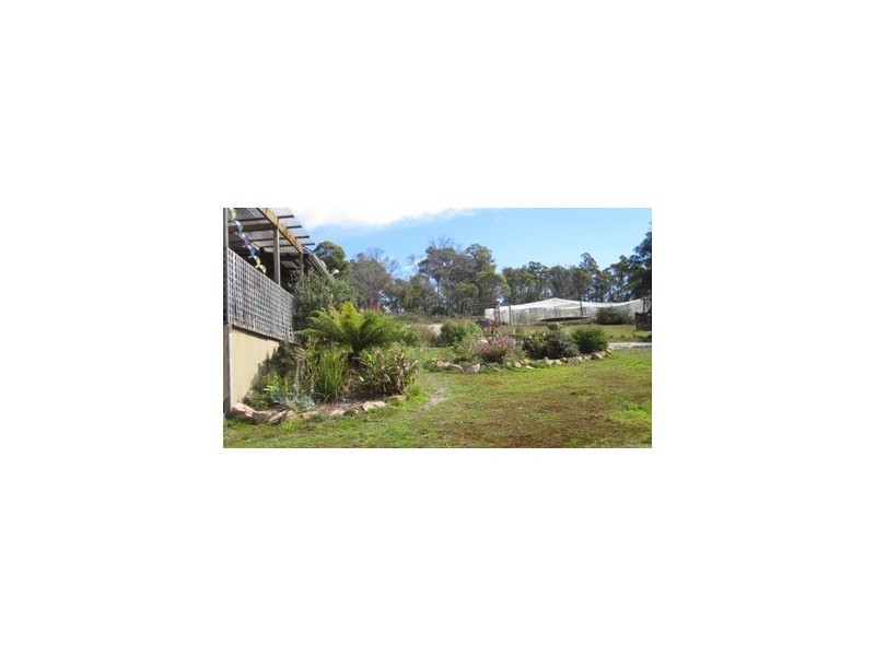 1453 Forester Road, Scottsdale TAS 7260