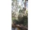 1453 Forester Road, Scottsdale TAS 7260