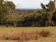1 Palana Road, Flinders Island TAS 7255