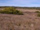 1 Palana Road, Flinders Island TAS 7255