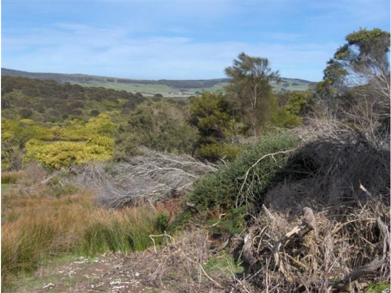 1 Palana Road, Flinders Island TAS 7255