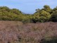 1 Palana Road, Flinders Island TAS 7255
