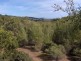 1 Palana Road, Flinders Island TAS 7255