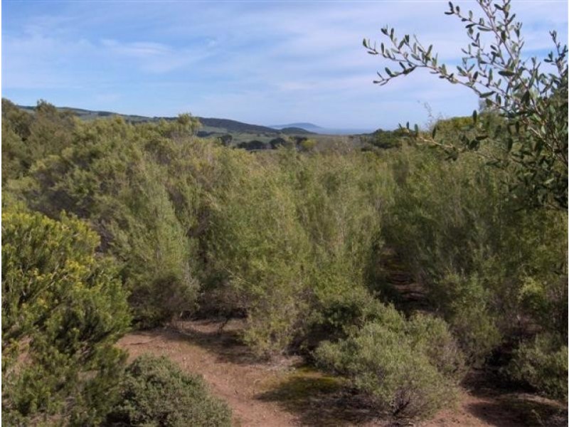 1 Palana Road, Flinders Island TAS 7255