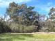 15 Barr Street,, Flinders Island TAS 7255