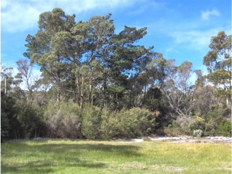 15 Barr Street,, Flinders Island TAS 7255
