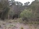 40 Edens Road, Flinders Island TAS 7255