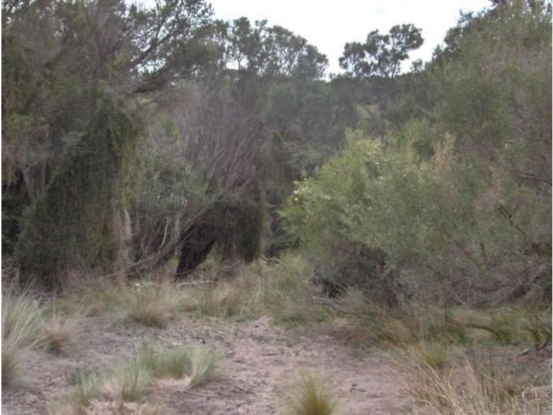 40 Edens Road, Flinders Island TAS 7255