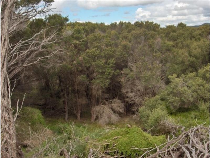 40 Edens Road, Flinders Island TAS 7255
