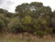 40 Edens Road, Flinders Island TAS 7255
