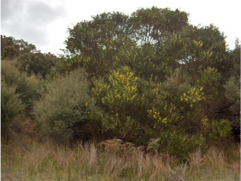 40 Edens Road, Flinders Island TAS 7255