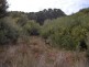 40 Edens Road, Flinders Island TAS 7255