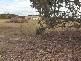 Flinders Island TAS 7255
