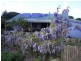 413 Fairhaven Road, Flinders Island TAS 7255