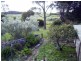 413 Fairhaven Road, Flinders Island TAS 7255