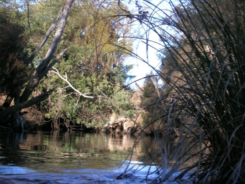 2960 Bridport Road, Bridport TAS 7262