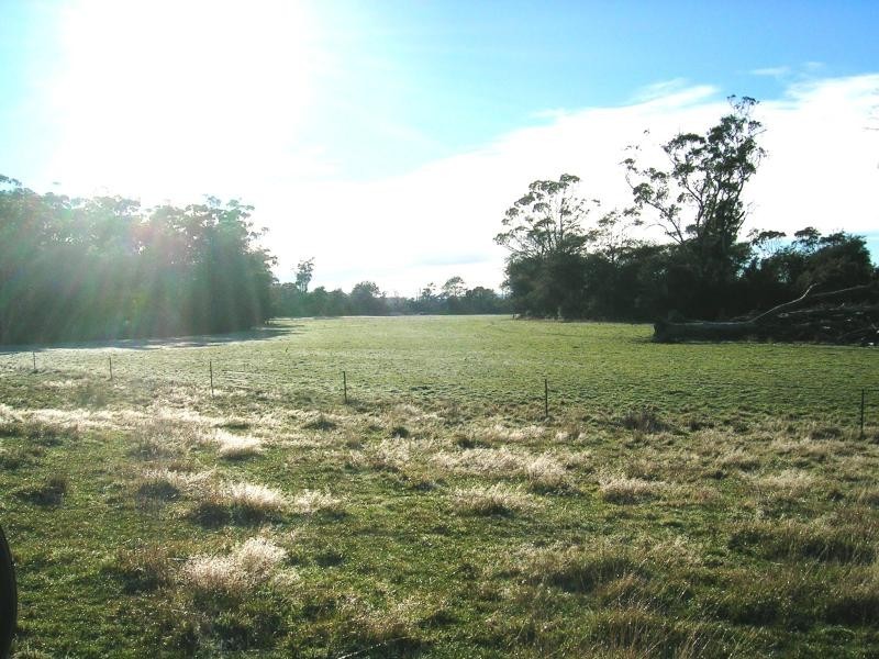 2960 Bridport Road, Bridport TAS 7262