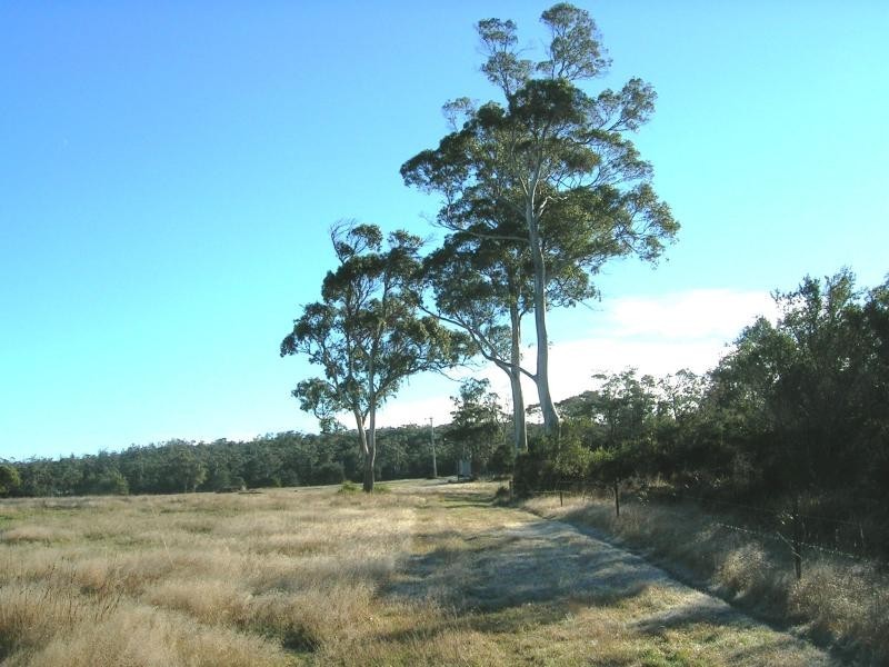 2960 Bridport Road, Bridport TAS 7262