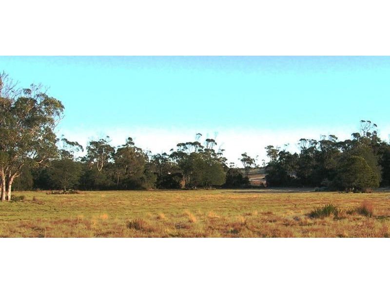 2960 Bridport Road, Bridport TAS 7262