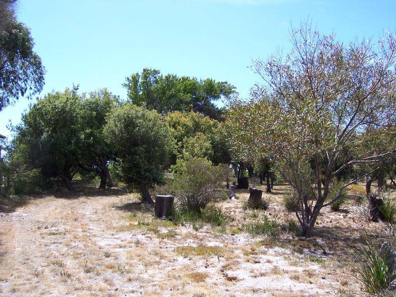 Lulworth TAS 7252