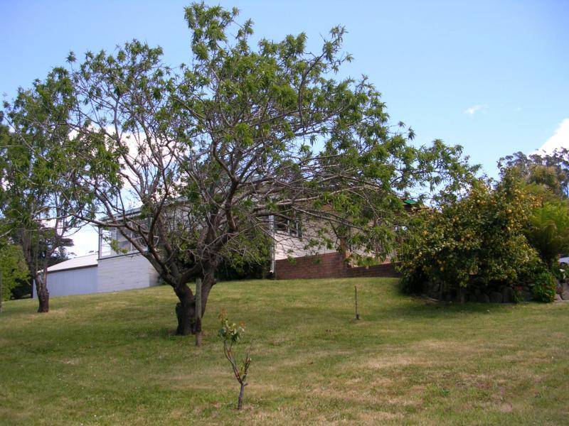 Beauty Point TAS 7270