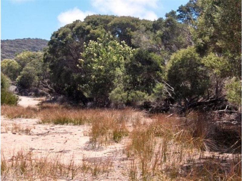 6 The Esplanade, Flinders Island TAS 7255