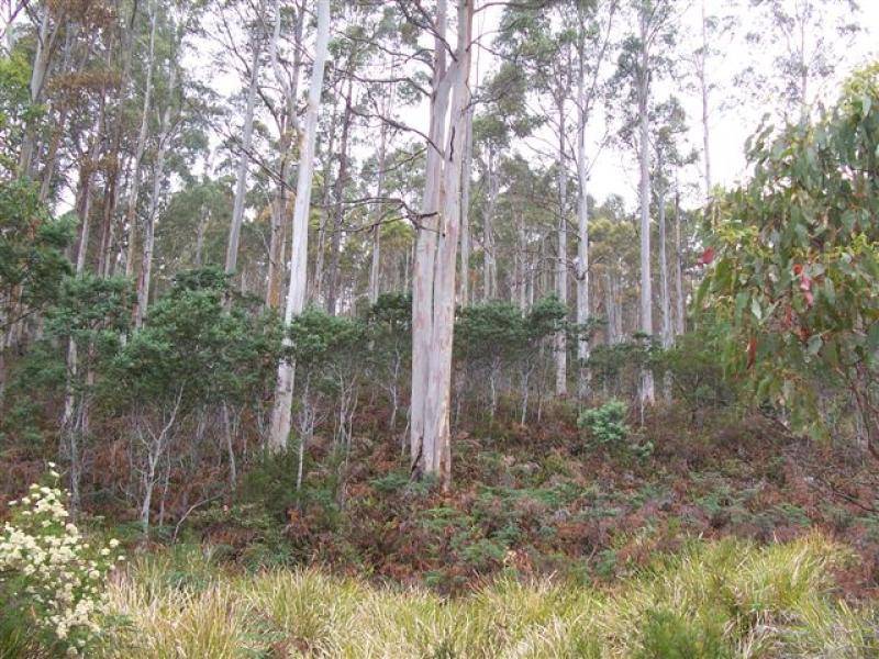 145 GOULLEES ROAD, Underwood TAS 7268