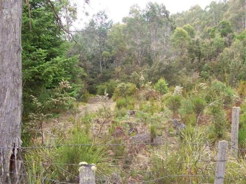 145 GOULLEES ROAD, Underwood TAS 7268