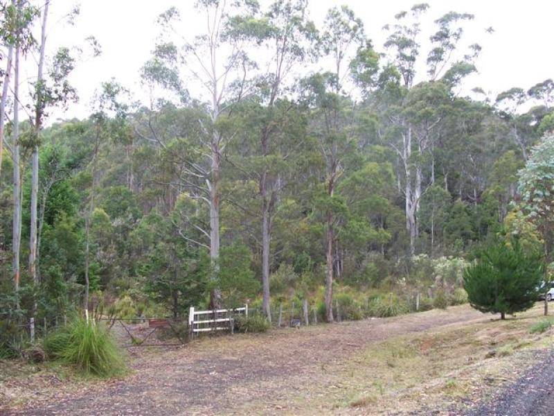 145 GOULLEES ROAD, Underwood TAS 7268