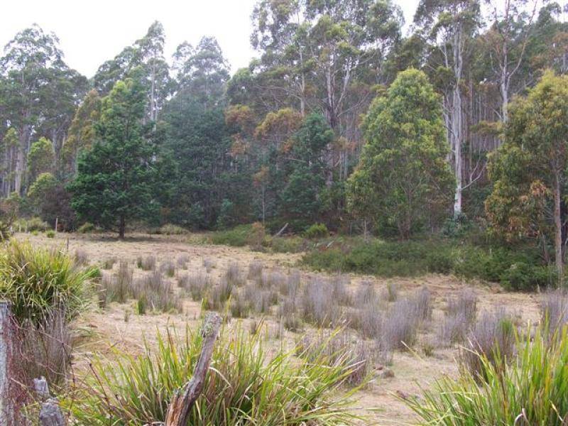 145 GOULLEES ROAD, Underwood TAS 7268