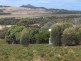 373 Killiecrankie Road, Flinders Island TAS 7255
